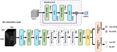 Three-Dimensional Multi-Task Deep Learning Model to Detect Glaucomatous Optic Neuropathy and Myopic Features From Optical Coherence Tomography Scans: A Retrospective Multi-Centre Study